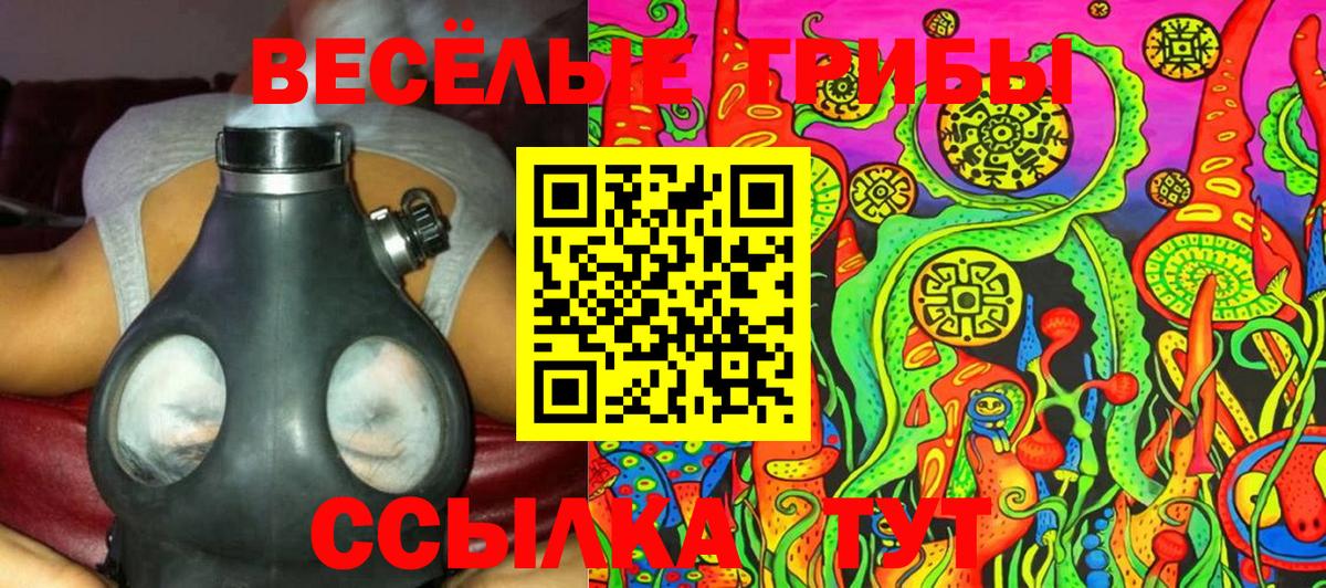 Галлюциногенные грибы Psilocybe Нарткала
